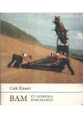 Csák Elemér - Bam