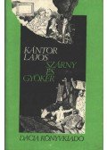 Kántor Lajos - Szárny és gyökér