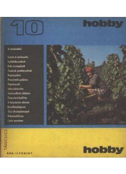 Hetényi István - Hobby 10. Hetényi István - Hobby 10., Budapest 1972 antikvár könyv