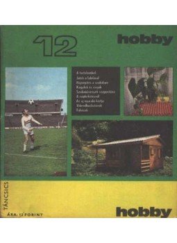 Hetényi István - Hobby 12 Hetényi István - Hobby 12, Budapest 1973 antikvár könyv