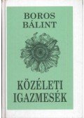 Boros Bálint - Közéleti igazmesék