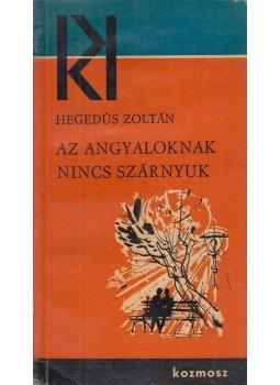 Hegedűs Zoltán - Az angyaloknak nincs szárnyuk