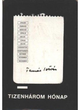 Tamás István - Tizenhárom hónap Tamás István - Tizenhárom hónap, Budapest 1977 antikvár könyv