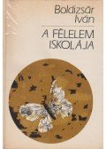 Boldizsár Iván - A félelem iskolája