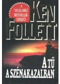 Ken Follett - Tű a szénakazalban