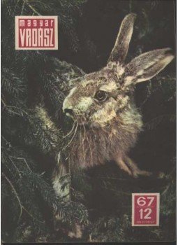  - Magyar Vadász 1967/12. szám
