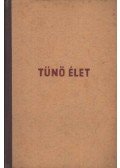 Bónyi Adorján - Tűnő élet