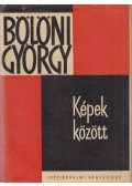 Bölöni György - Képek között