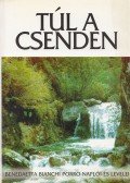 Benedaetta Bianchi Porro - Túl a csenden