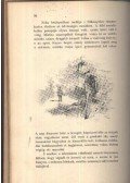 Bársony István - Erdőn, mezőn - Rövidített kiadás az ifjuság számára