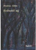 Bisztray Ádám - Erdőntúli táj
