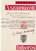 Csonka Emil - A száműzött bíboros
