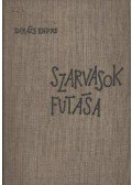 Darázs Endre - Szarvasok futása