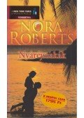 Nora Roberts - Nyáréjszakák