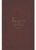 Thelemann Otto - Kalvin élete