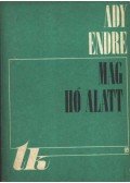 Ady Endre - Mag hó alatt