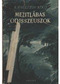 Pausztovszkij, Konsztantyin - Mezitlábas Odisszeuszok