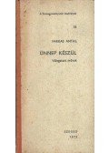 Farkas Antal - Ünnep készül