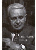 Illés Endre - Igézet