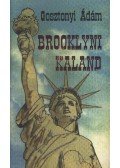 Gosztonyi Ádám - Brooklyni kaland