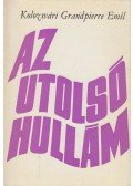 Kolozsvári Grandpierre Emil - Az utolsó hullám