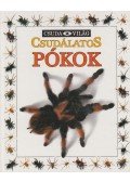 Parsons, Alexandra - Csudálatos pókok