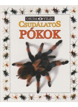 Parsons, Alexandra - Csudálatos pókok, Budapest 1991 antikvár könyv