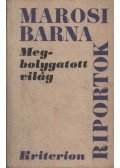 Marosi Barna - Megbolygatott világ