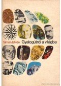Simon István - Gyalogútról a világba