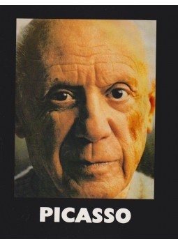 Somlyó György - Picasso Somlyó György - Picasso, Budapest 1981 antikvár könyv