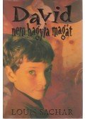 Sachar, Louis - David nem hagyja magát