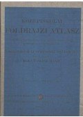 Hőnyi Ede,Hidas Gábor,Kereszty Péter,Dr. Papp-Váry Árpád (szerk.),Laki Ilona,Martinovich Sándor,Miehle János (szerk.),Neményi Istvánné,Suara Róbert,Szigeti Borbála - Középiskolai földrajzi atlasz