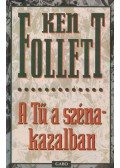 Ken Follett - Tű a szénakazalban
