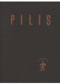 Dely Károly,Dr. Mezei Iván - Pilis útikalauz