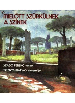 Szabó Ferenc - Mielőtt szürkülnek a színek, Róma 1987 antikvár könyv