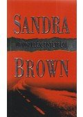 Sandra Brown - Üdvözlégy, sötétség!
