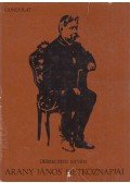 Debreczeni István - Arany János hétköznapjai