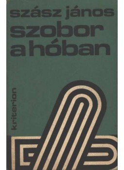 Szász János - Szobor a hóban