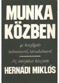 Hernádi Miklós - Munka közben
