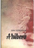 Sztadnyuk, Ivan - A háború