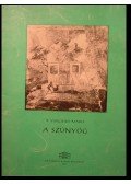 Vergilius Maro, Publius - A szúnyog