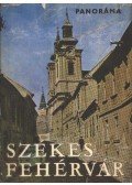 Gonda Istvánné,Fitz Jenő,Kabáczy Szilárd,Tóth Gyula,Radetzky Jenő,Zách Sándor - Székesfehérvár