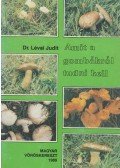 Dr. Lévai Judit - Amit a gombákról tudni kell
