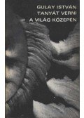 Gulay István - Tanyát verni a világ közepén