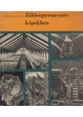 Jeszenszky Árpád - Zöldségtermesztés képekben
