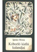 Ignácz Rózsa - Kóborló kisfiú kalandjai