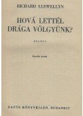 Richard Llewellyn - Hová lettél drága völgyünk?