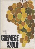 Kozma Pál - A csemegeszőlő