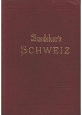 Baedeker, Karl - Die Schweiz nebst den angrenzenden Teilen von Oberitalien, Savoyen und Tirol