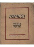 Földes Sándor - Tömeg